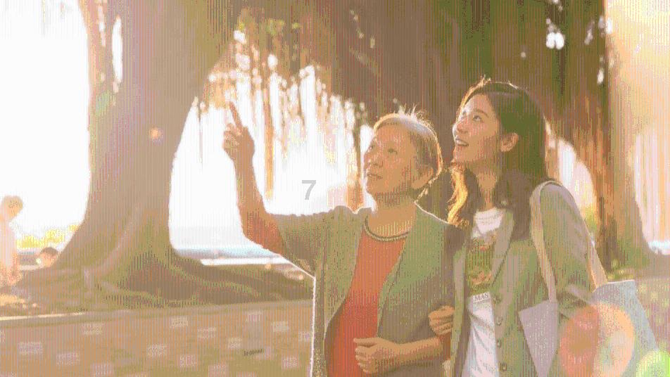 华为Mate70性能和网络基本清晰：有两种配置规格