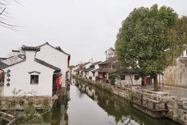 虫虫助手下载